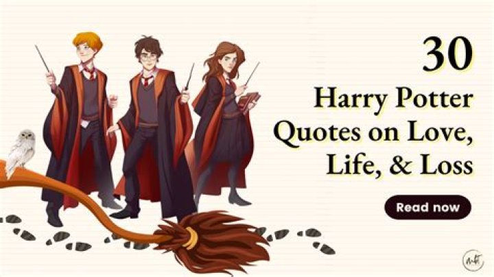 14 Harry Potter Quotes About Loss
