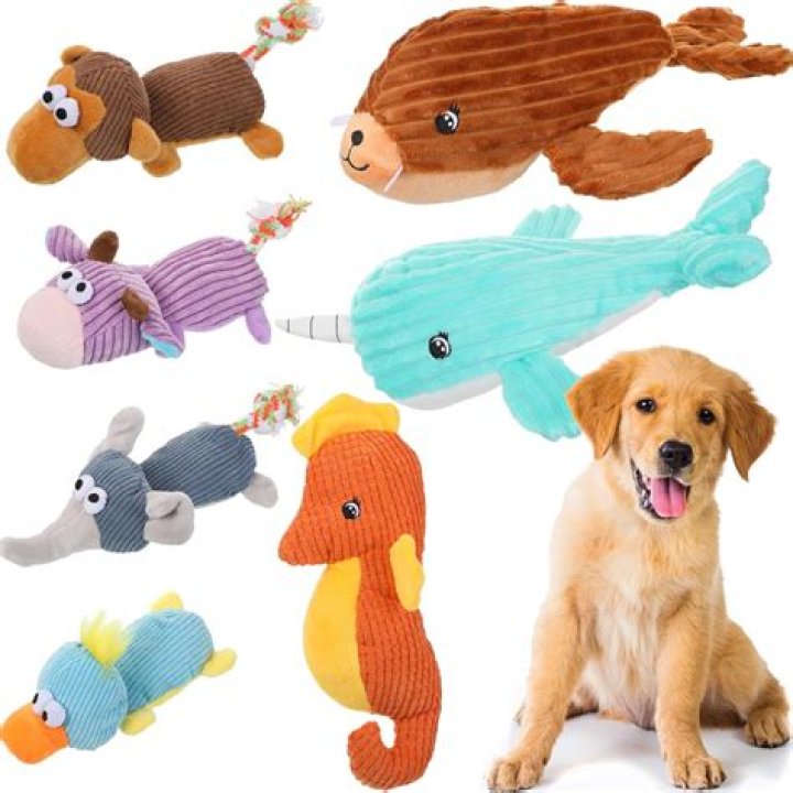 7 Indestructible Squeaky Dog Toys