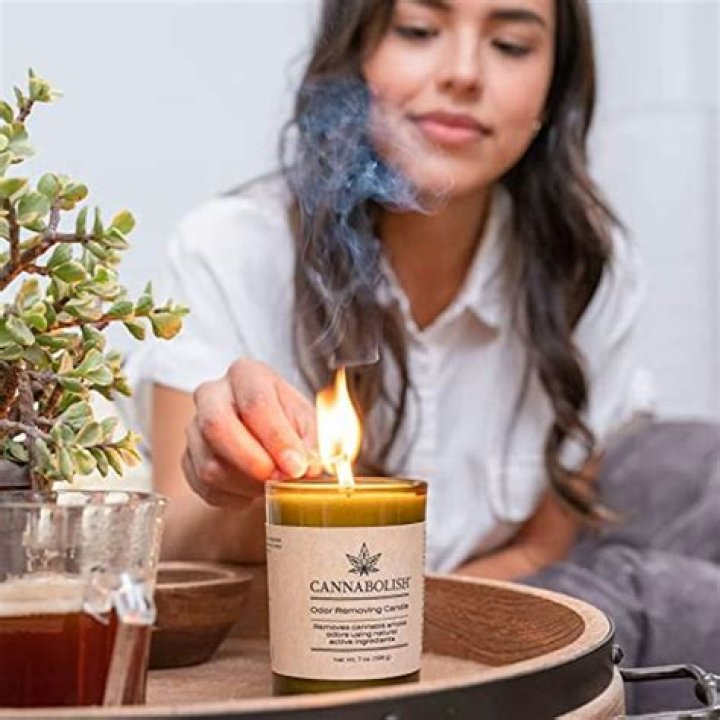 The 8 Best Odor-Eliminating Candles