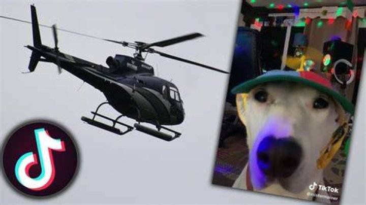 The "Helicopter, Helicopter" TikTok Trend, Explained