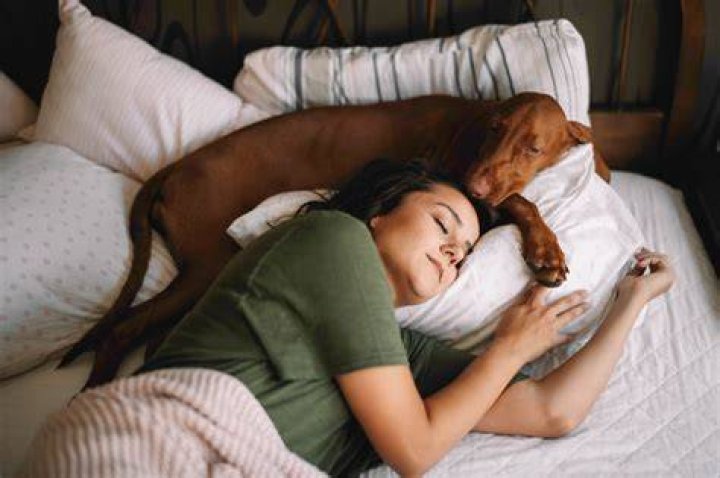 Why Millennials Love Sleeping With Background Noise